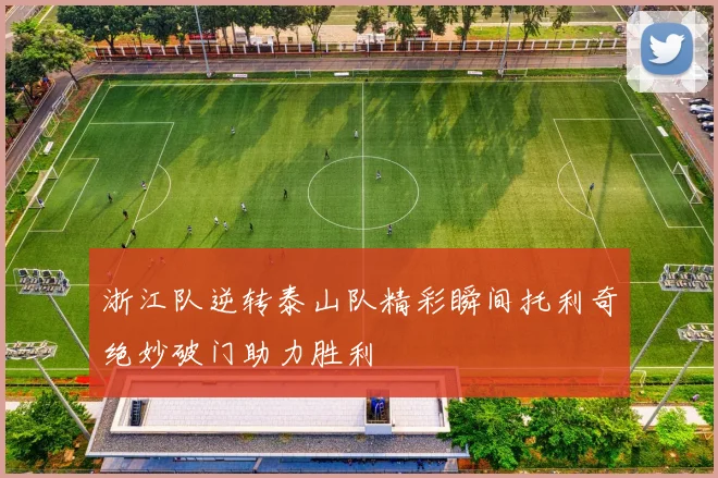浙江队逆转泰山队精彩瞬间托利奇绝妙破门助力胜利